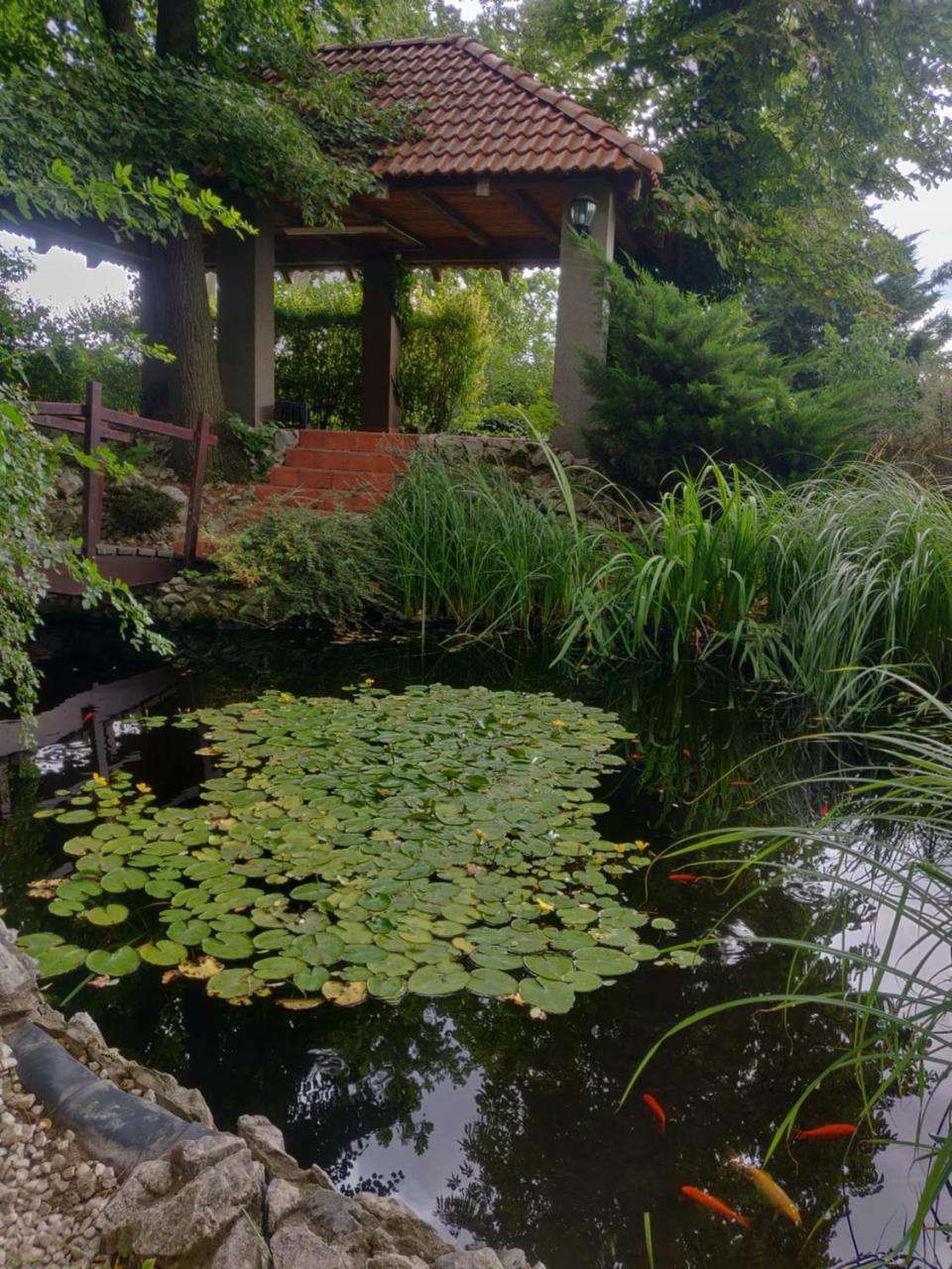 Penzión Sessler in Trnava, Slovakia