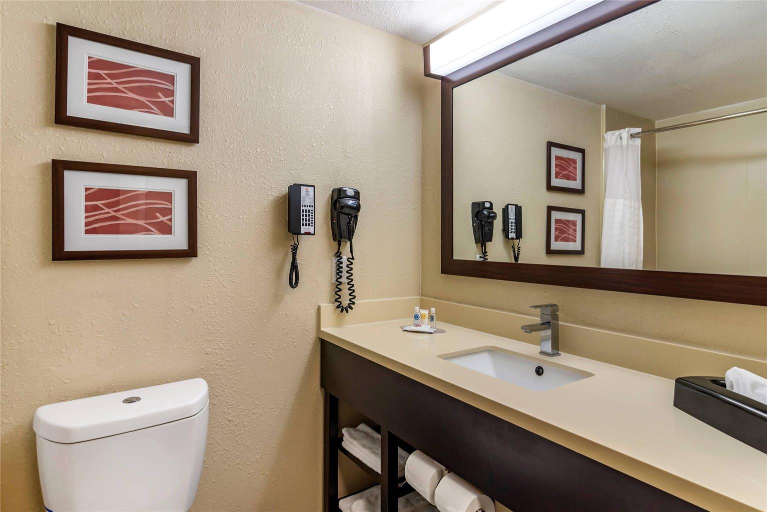 Comfort Inn & Suites near Six Flags - photo 25