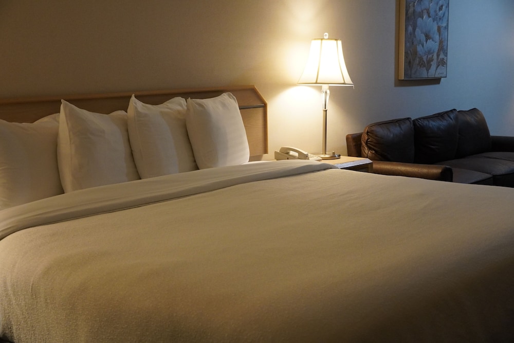 Timberland Inn & Suites - photo 34