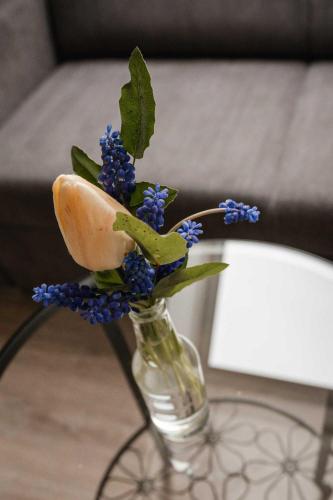 Farma Tasov in Velke Mezirici, Czech Republic