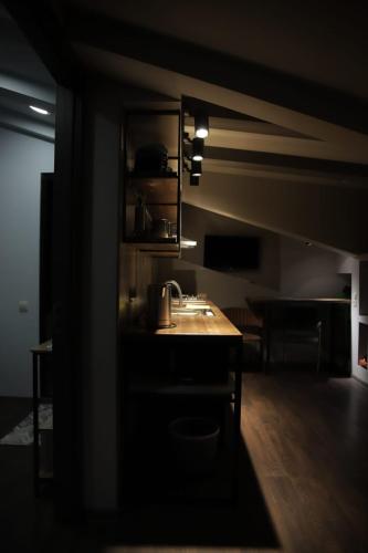 Mansarda House
