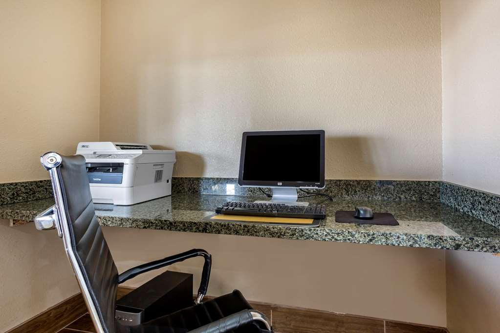 Comfort Inn & Suites Deming - photo 36
