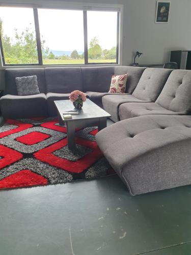 The Red Shed in Matamata, New Zealand
