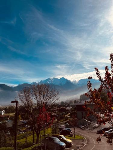 Vue Sur Le Montblanc — hotel in Domancy