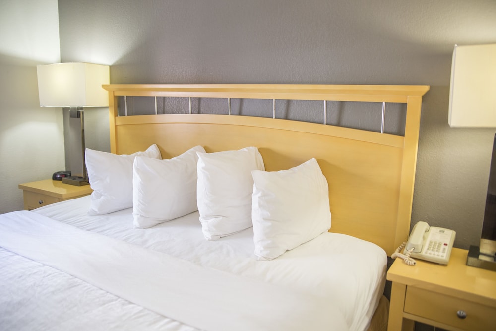 Hudson River Hotel - photo 10