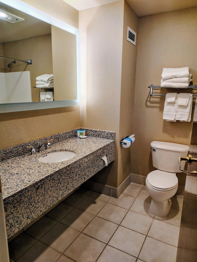 Medallion Inn & Suites - photo 15