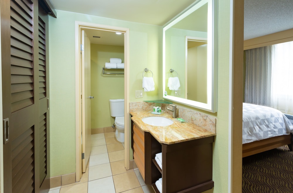 Holiday Inn San Jose Silicon Valley by IHG - photo 24