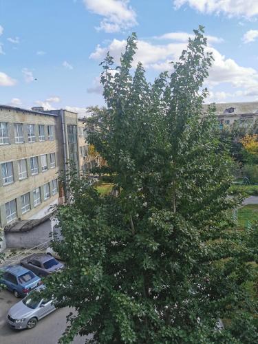 1 K Kvartira v Tsentre Ryadom s Parkom Flat — hotel in Kostanay