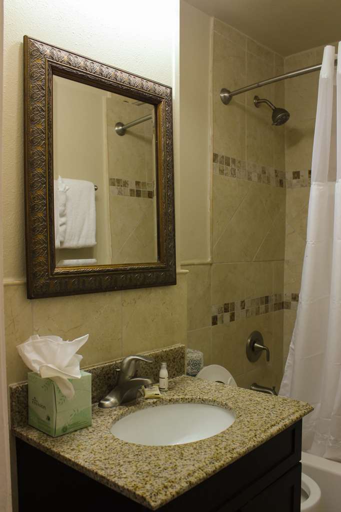 Andrew Jackson Hotel a French Quarter Inns Hotel - photo 8