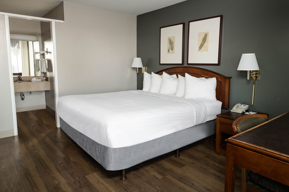 Vagabond Inn Oxnard - photo 9