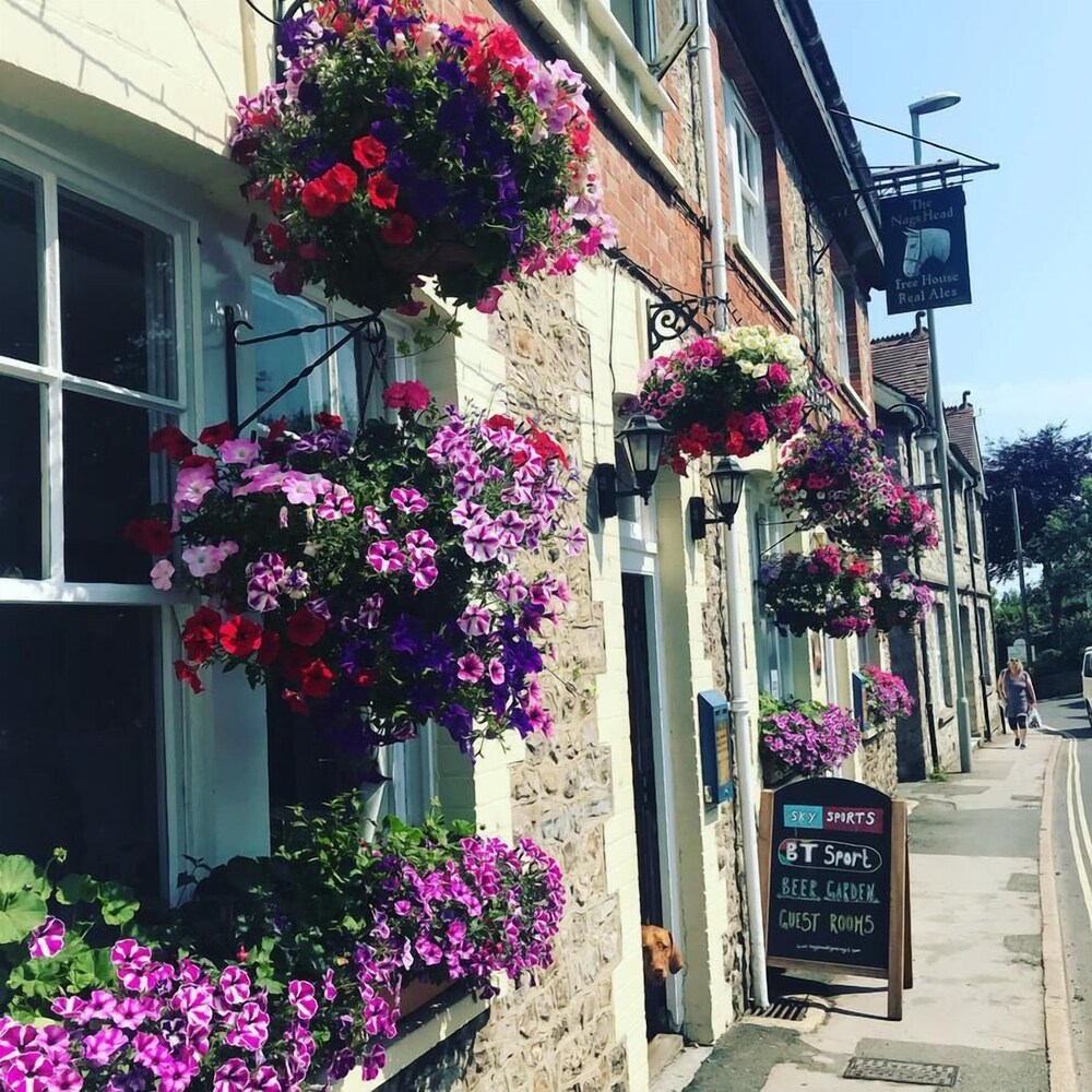 The Nag’s Head in Lyme Regis, United Kingdom