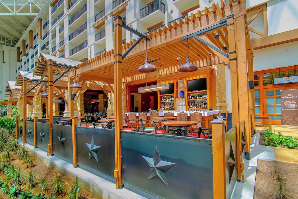 Gaylord Texan Resort & Convention Center - photo 95