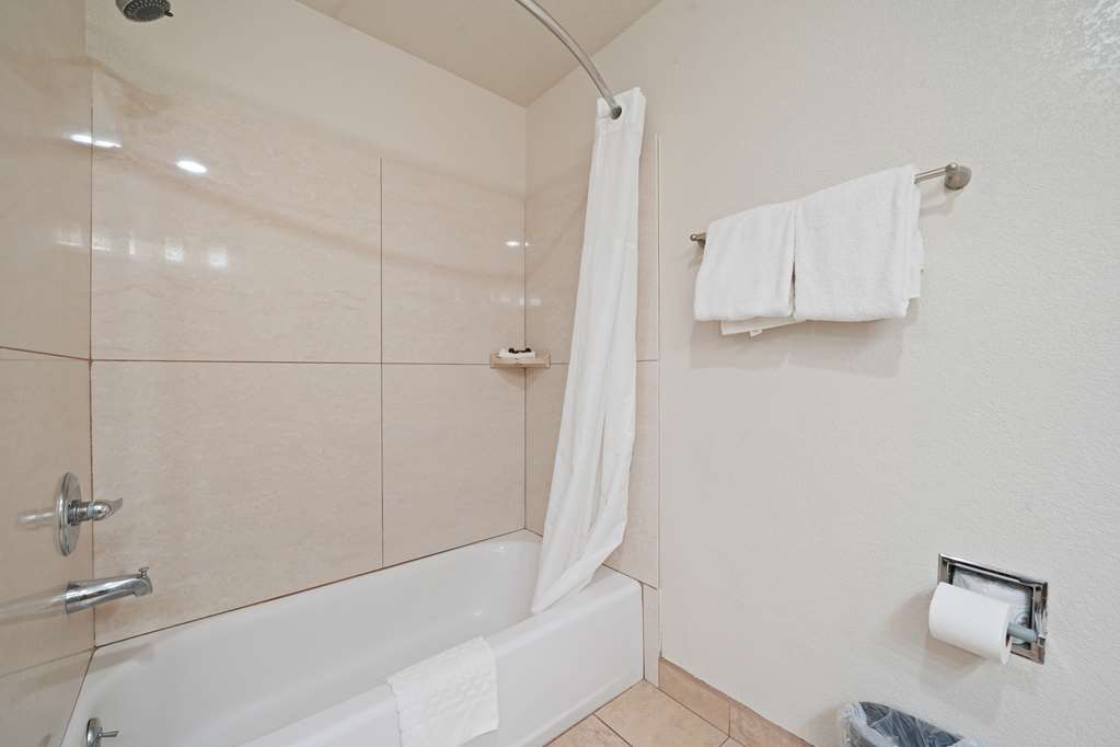 Best Western Plus Executive Inn & Suites - photo 42