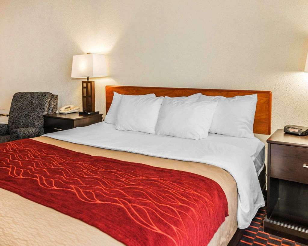 Comfort Inn Avon Indianapolis West - photo 14