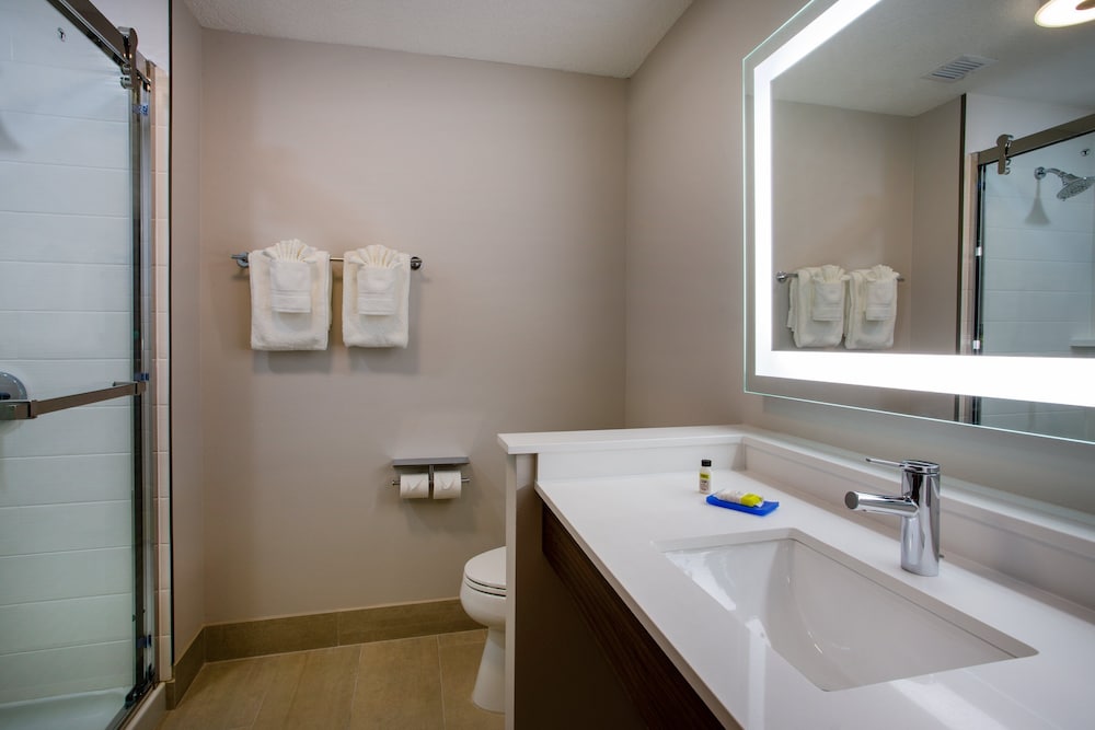 Holiday Inn Express & Suites Deland South by IHG - photo 17
