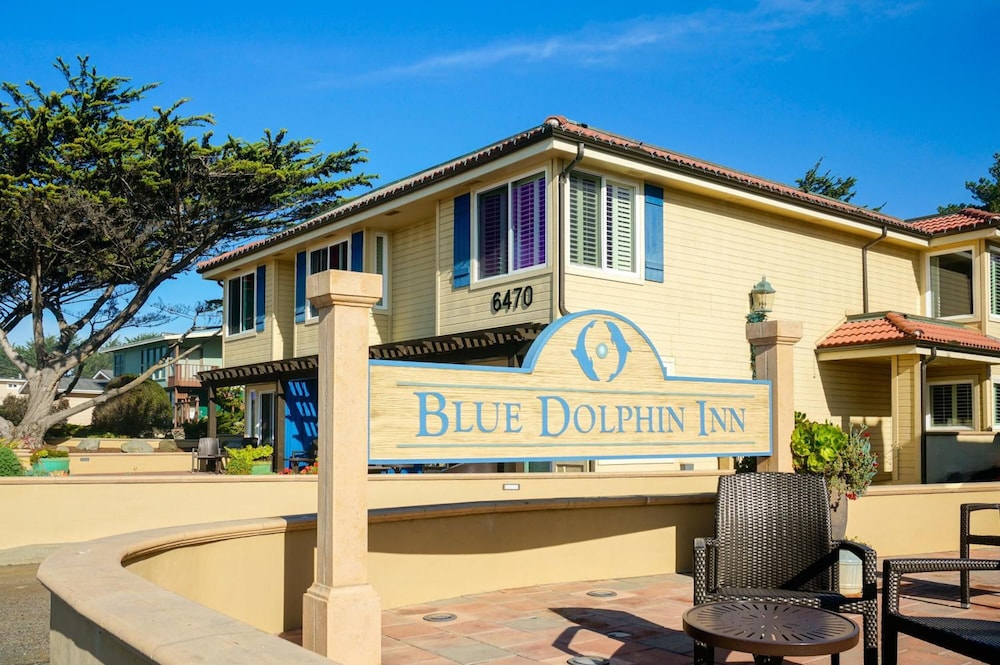 Blue Dolphin Inn - photo 58