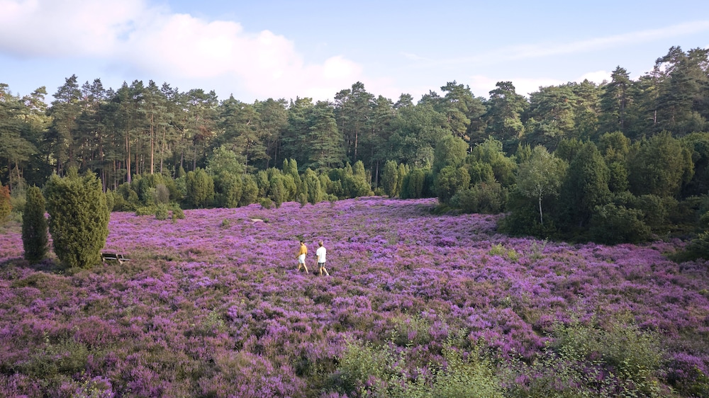 Hotel Bispinger Heide By Center Parcs — Bispingen