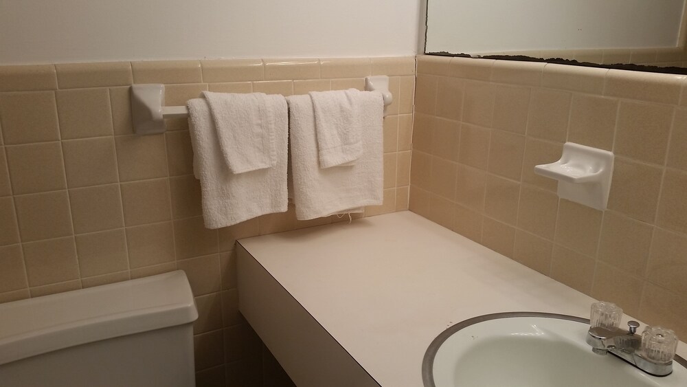Carolina TarHeel Motel - photo 31