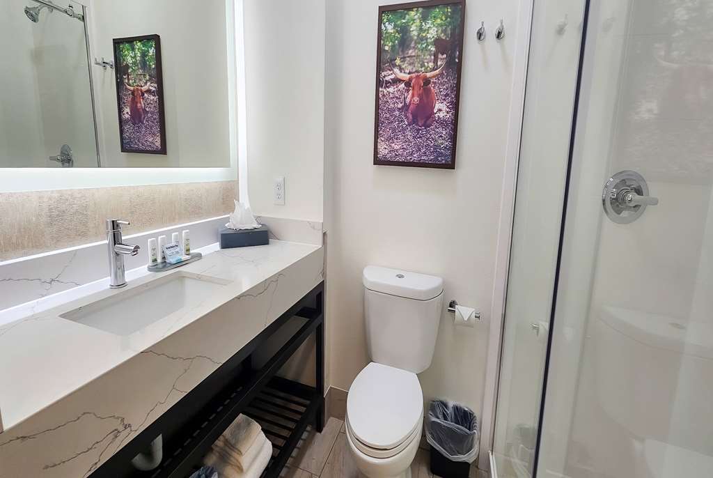 La Quinta Inn & Suites by Wyndham Dallas Mesquite - photo 44