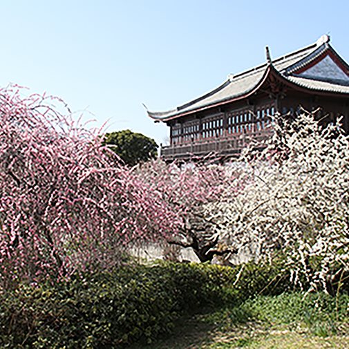 Hotel Manyomisaki — Aioi — photo 3