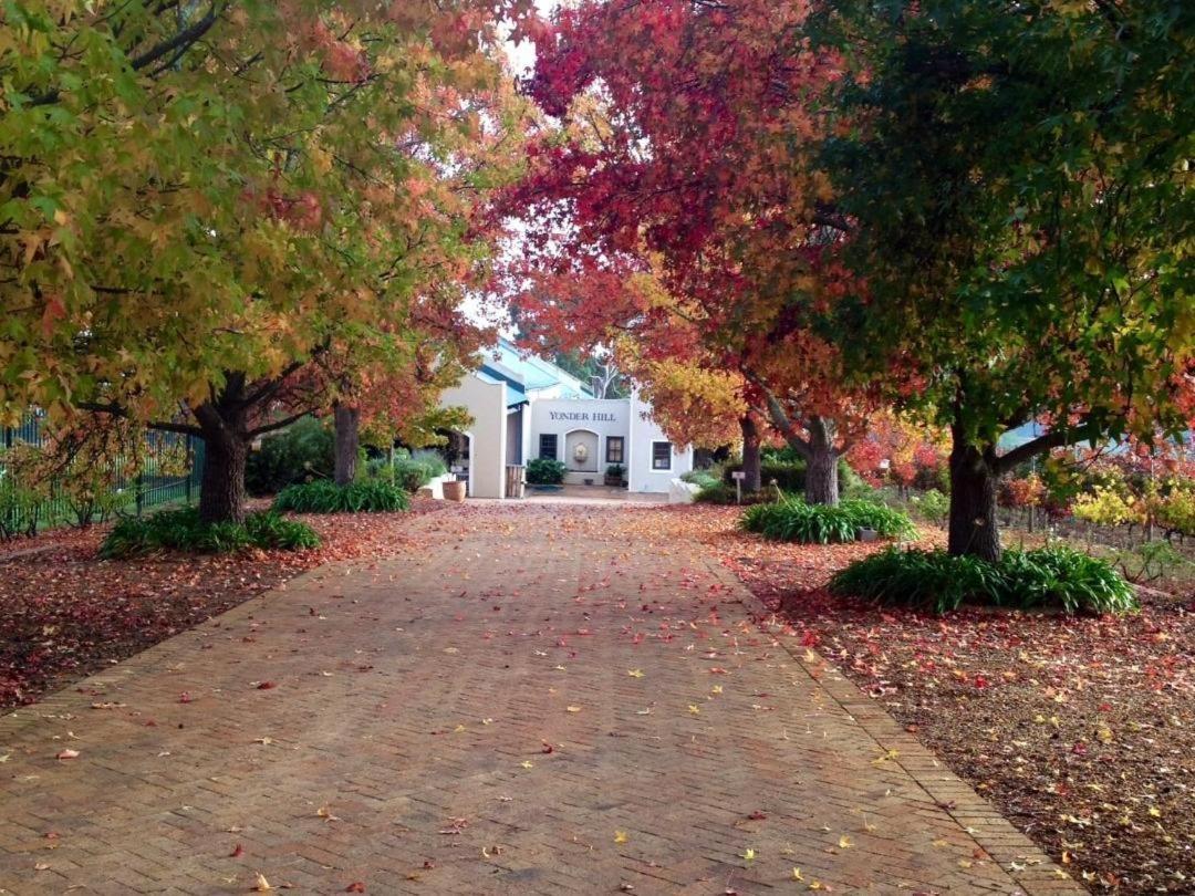 Yonder Hill Accommodation in Stellenbosch, South Africa