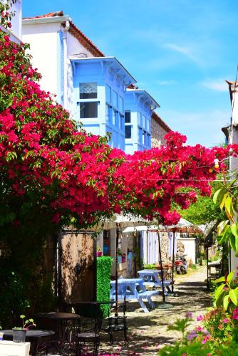 Rue d’Azur Alacatı in Alacati, Turkey
