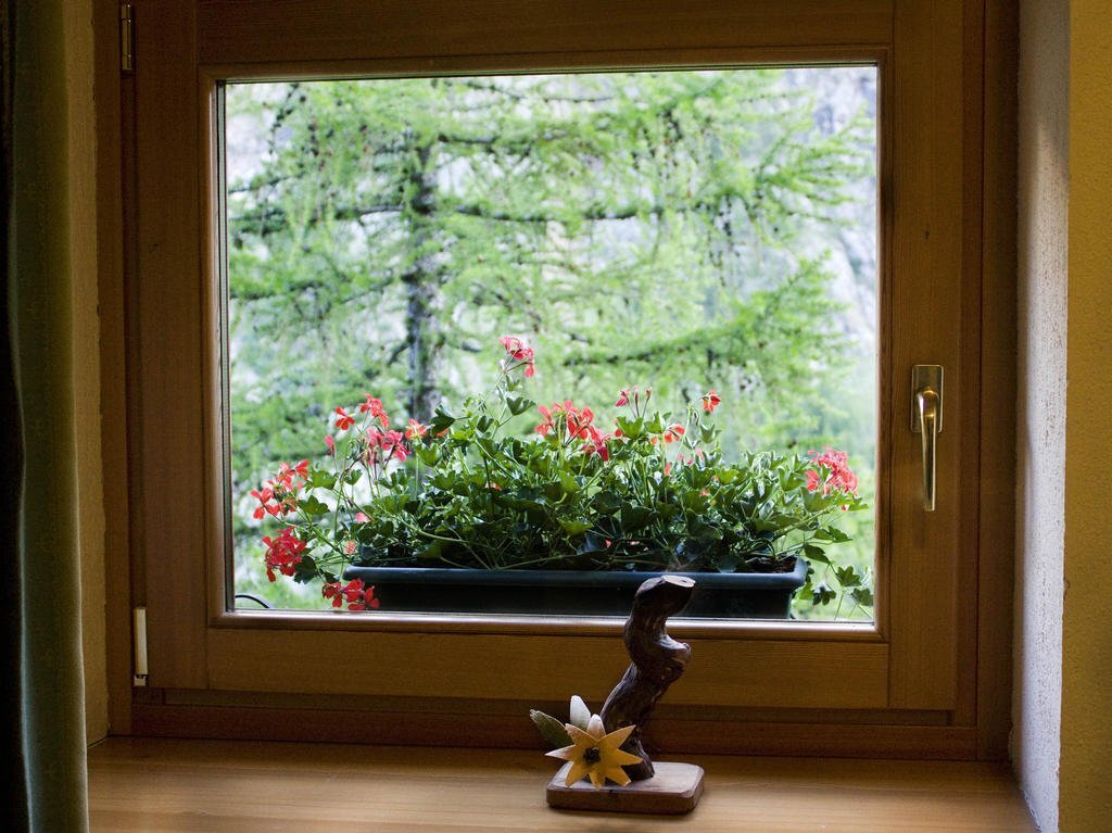 Locanda Lac Place Moulin — hotel in Bionaz