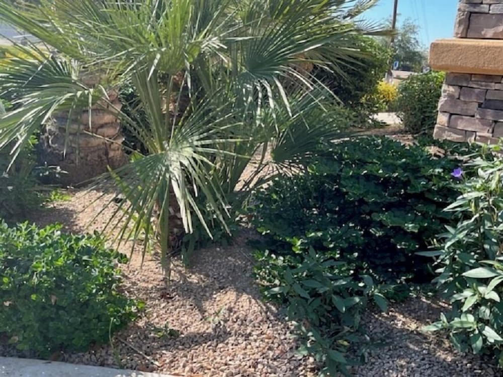 Hampton Inn & Suites Tempe Phoenix Airport AZ - photo 82