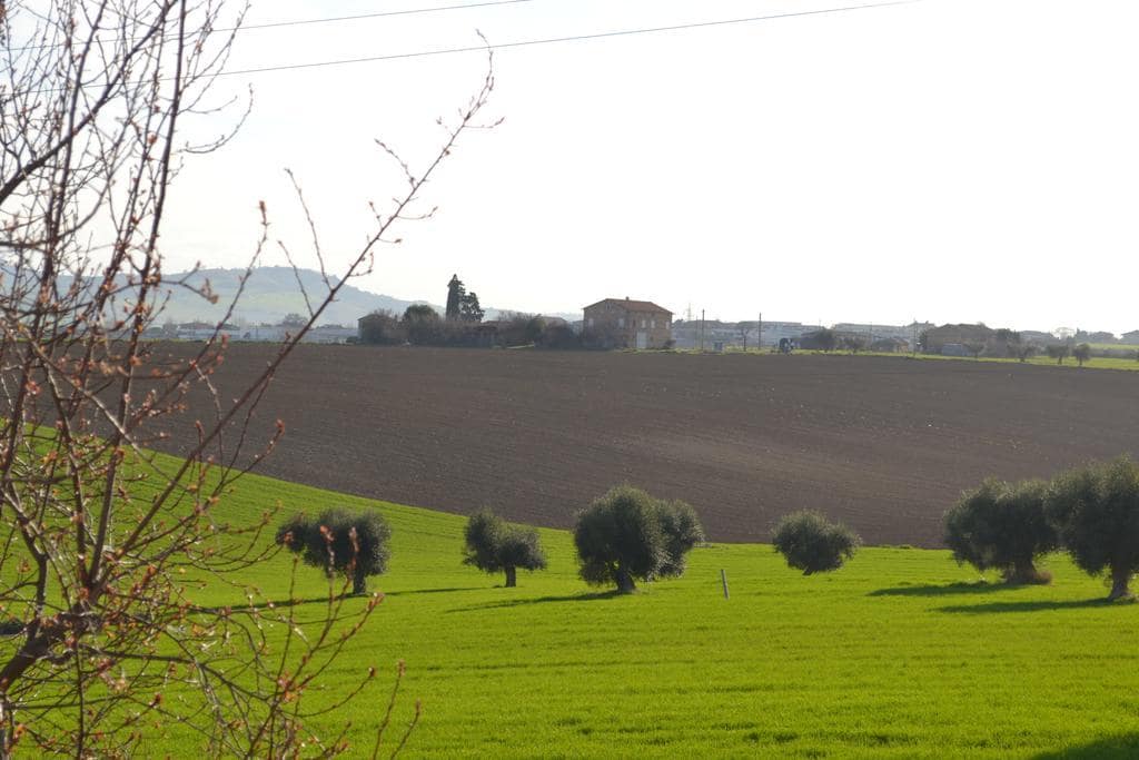 B&B Il Tiglio — 4-Star Luxury Hotel in Porto Sant'elpidio, Italy