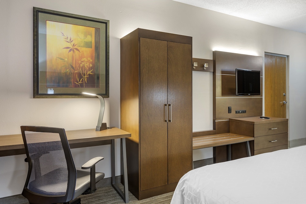Holiday Inn Express Branson Green Mountain Drive by IHG - photo 3