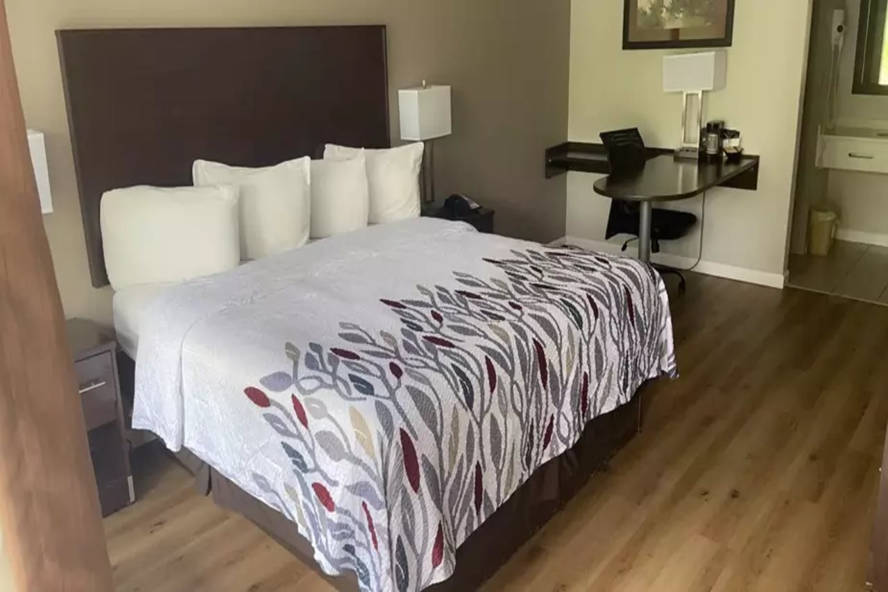 Red Roof Inn Clearfield - photo 5