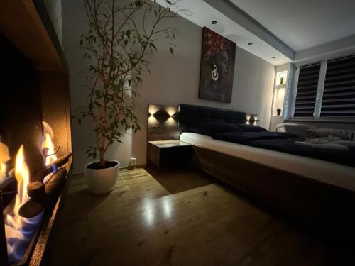 Studio Centrum 2 — 4-Star Luxury Hotel in Chelm, Poland