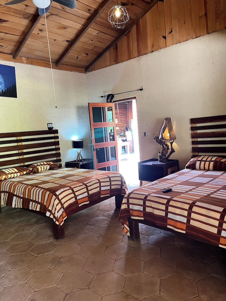 Finca Pie de Luna — Pluma Hidalgo — photo 4
