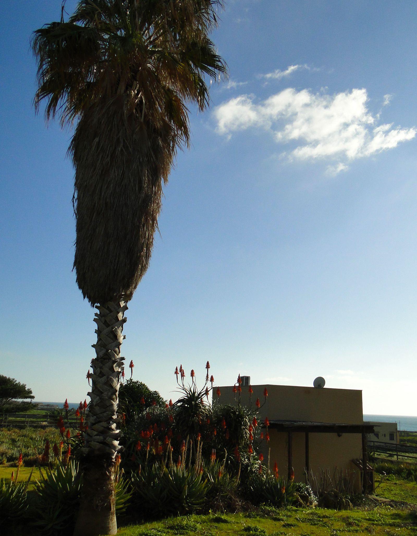 Il Giardino delle Aloe in Favignana, Italy