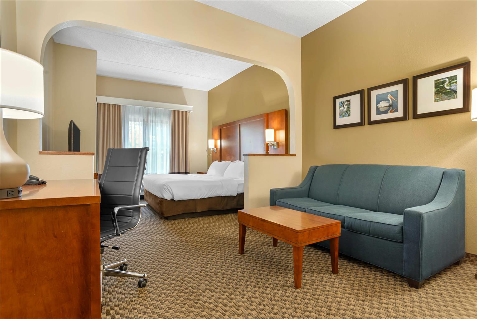 Comfort Suites Tallahassee Capitol University Area - photo 26
