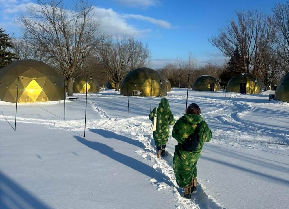 DayDreamer Domes in South Haven, United States