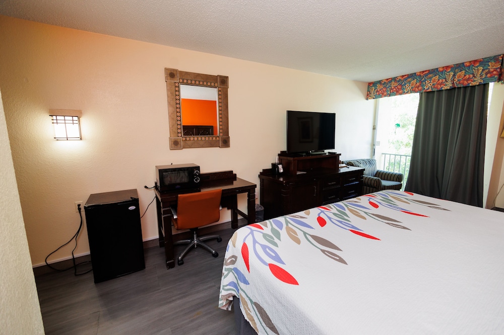 Garnet Inn & Suites Orlando - photo 52