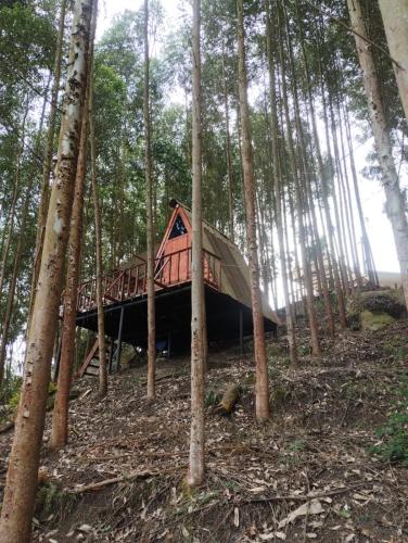Glamping Entrepinos — hotel in El Colegio