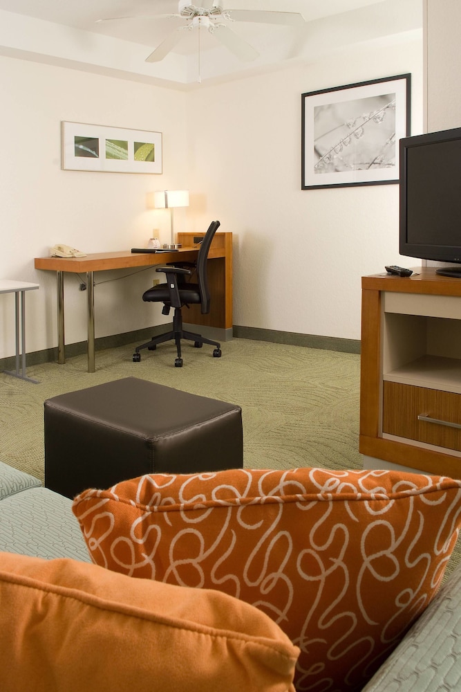 SpringHill Suites by Marriott Convention Center I drive - photo 6