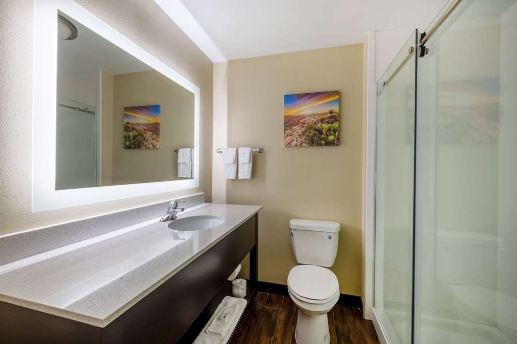 La Quinta Inn & Suites by Wyndham Artesia - photo 37