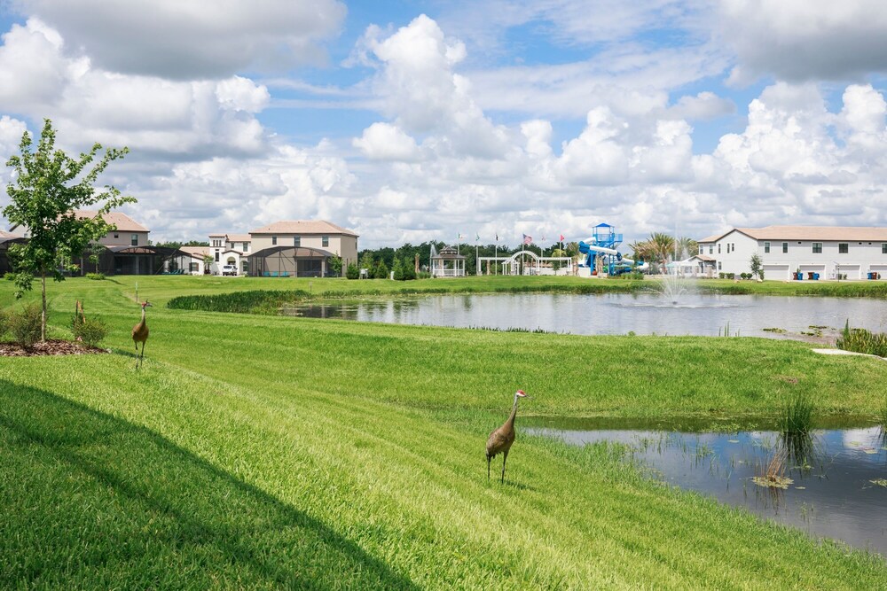 Balmoral Resort Florida - photo 48