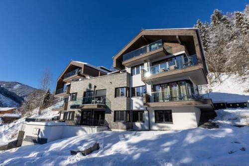 Penthouse Schmittenblick Top 4 — Viehhofen