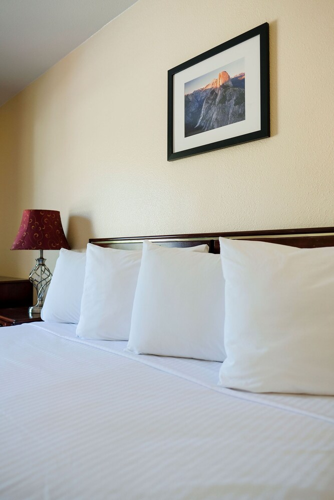 The Monarch Inn - photo 4