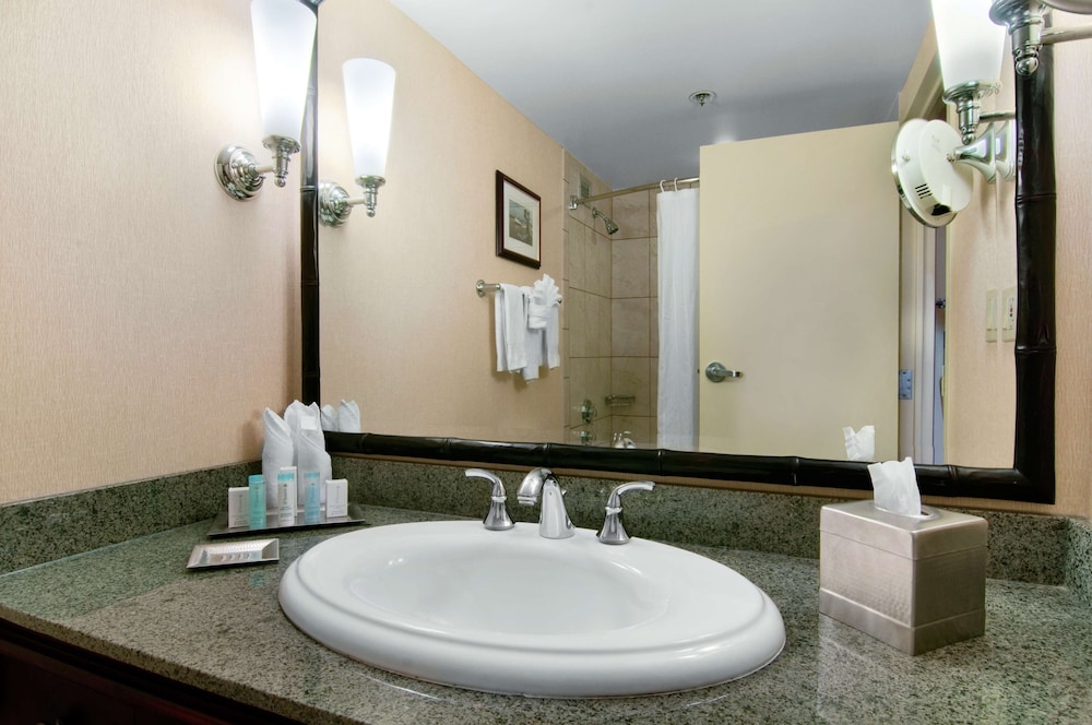 Hilton New Orleans Airport - photo 18
