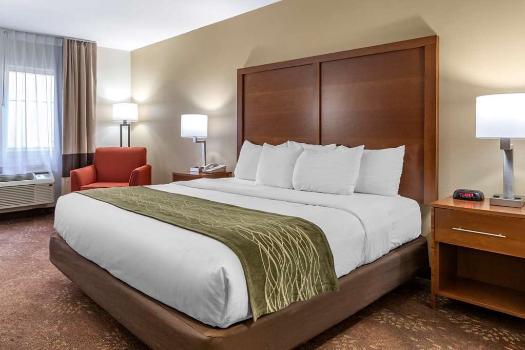 Comfort Inn Okemos East Lansing - photo 17