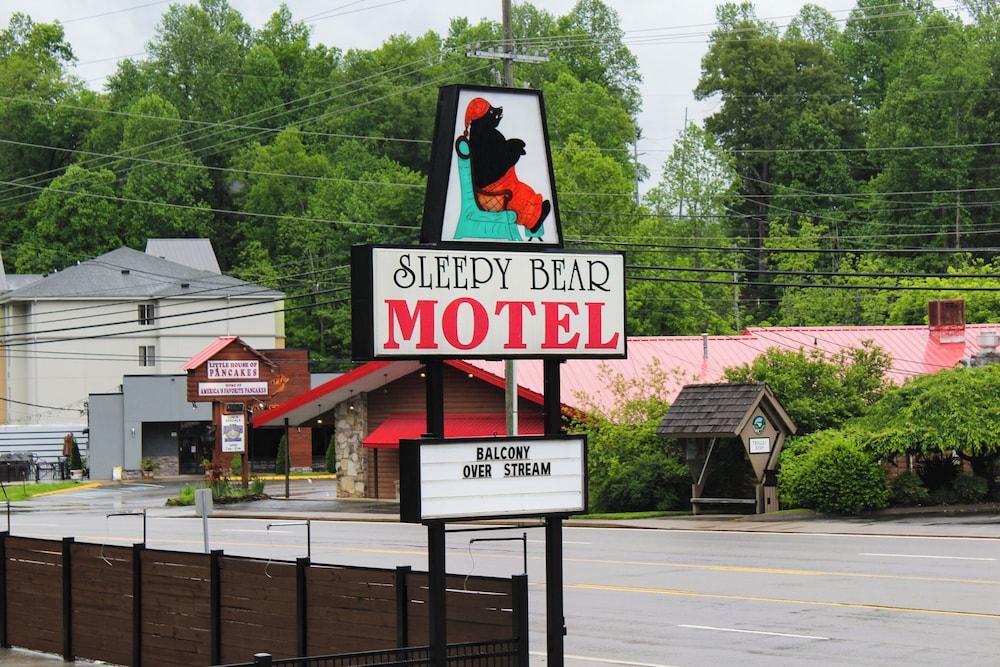 Sleepy Bear Motel - photo 17