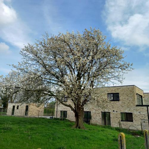 De Molenlos — 4-Star Luxury Hotel in Zottegem, Belgium