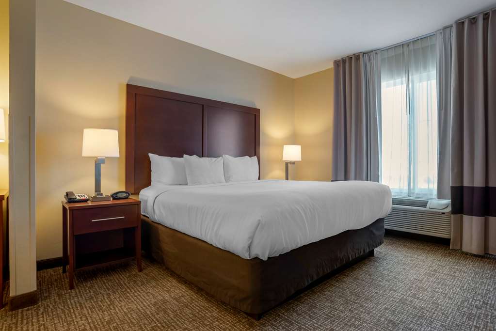 Comfort Suites Foley - photo 7