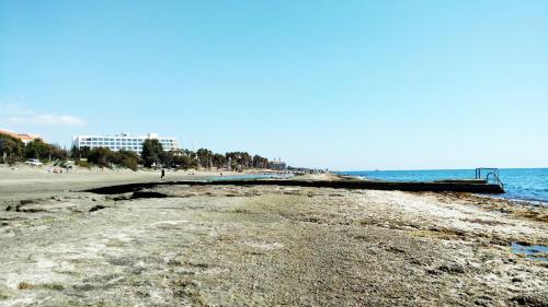 Olosuites