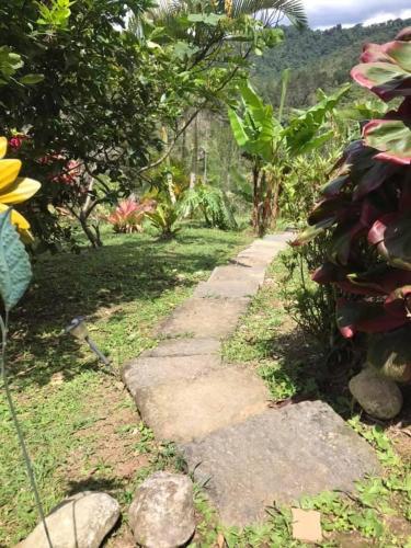 Navarro mountain — Cartago — photo 5